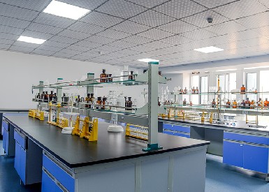 氫能源實(shí)驗(yàn)室氣體檢測案例