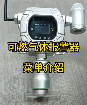 磁吸式可燃?xì)怏w報警器MIC-600-L-Ex-A